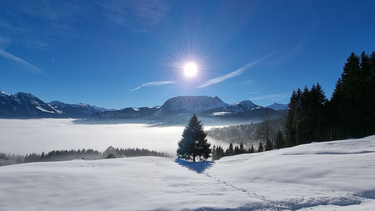 Photo of Others in Giswil