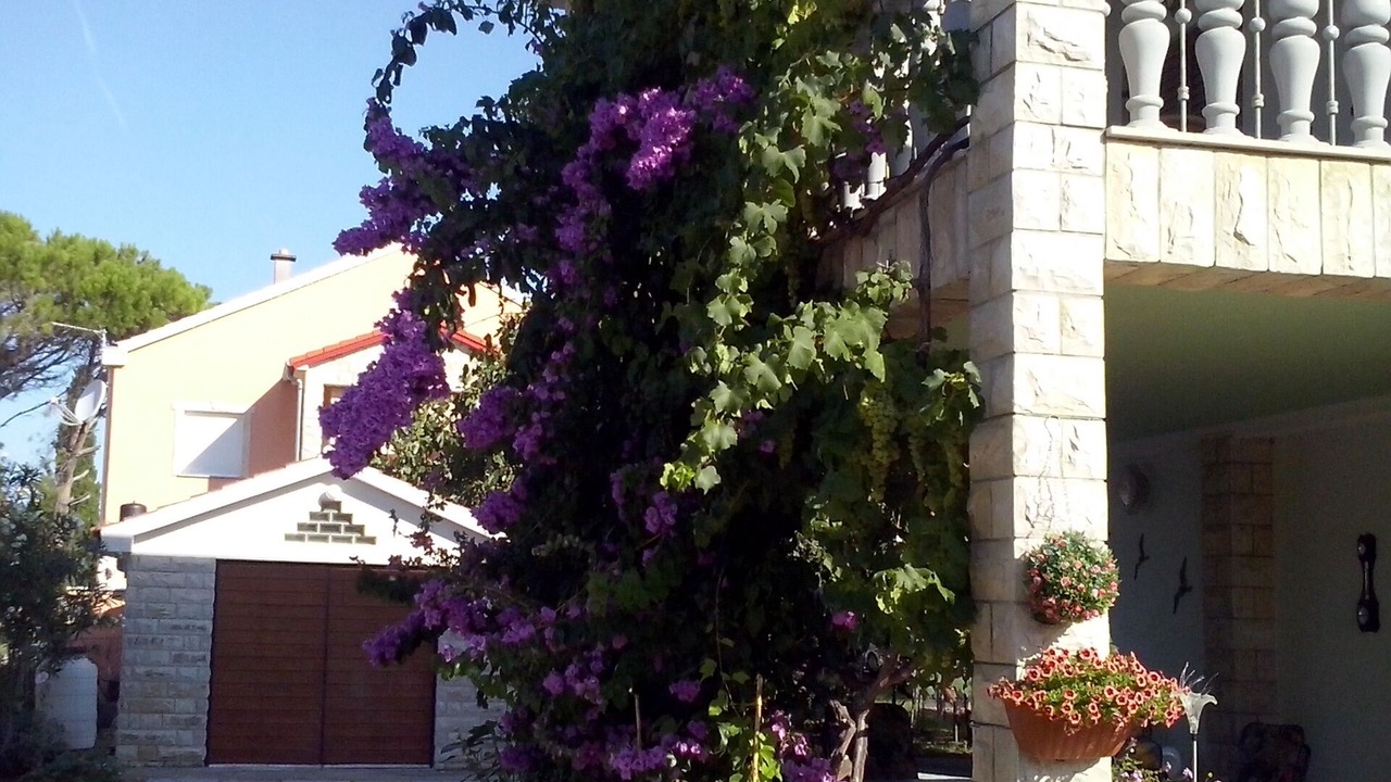 Photo of Outdoor in Nin