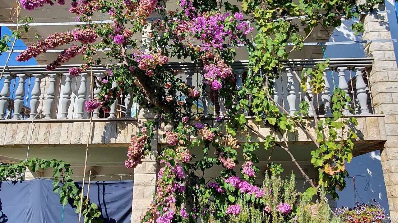 Photo of Outdoor in Nin