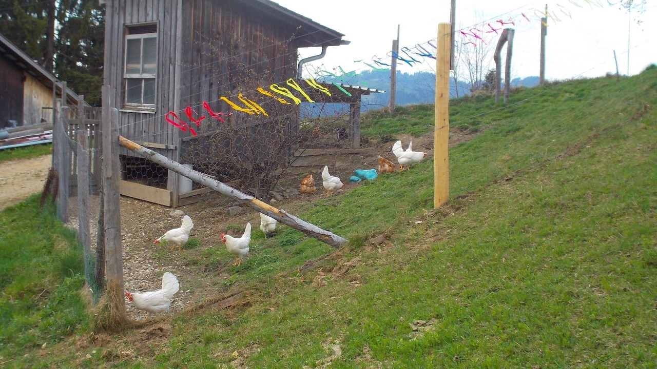 Photo of Outdoor in Trub