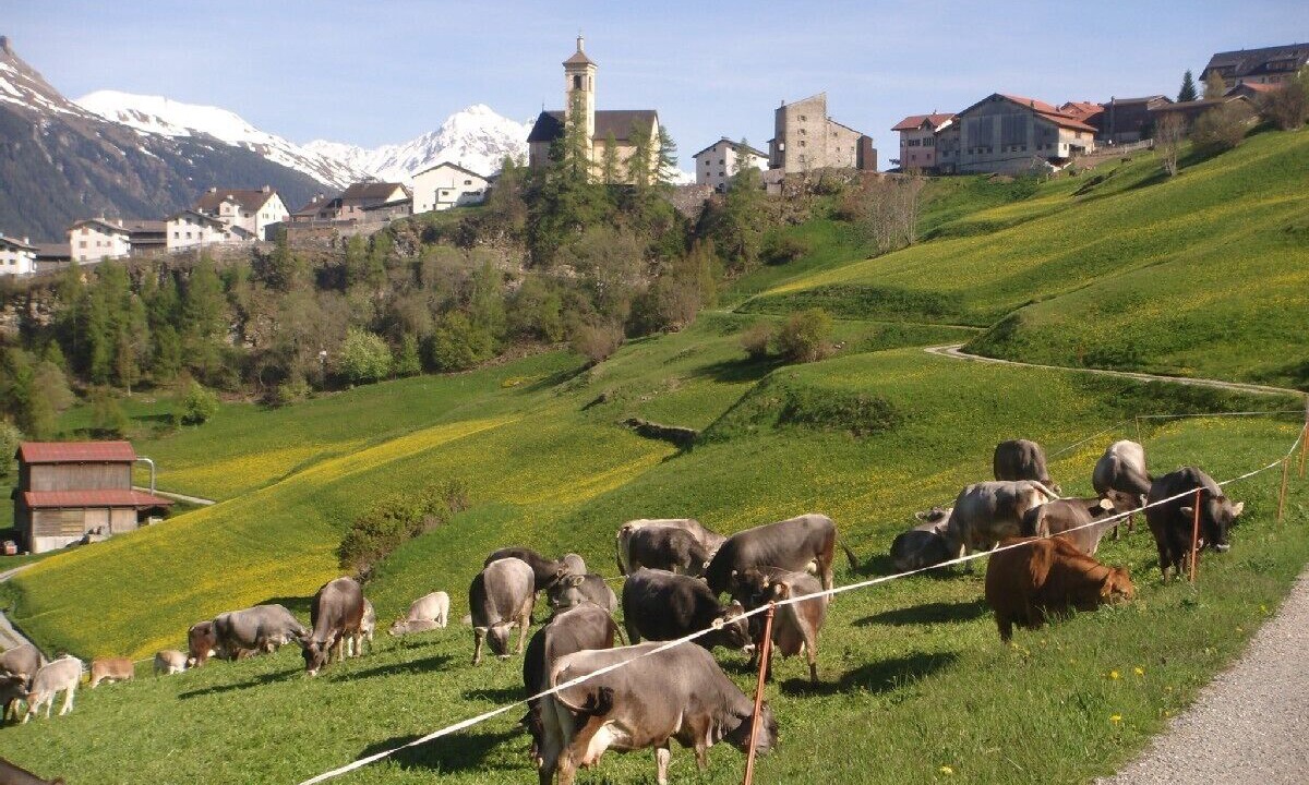 Photo of Others in Stierva