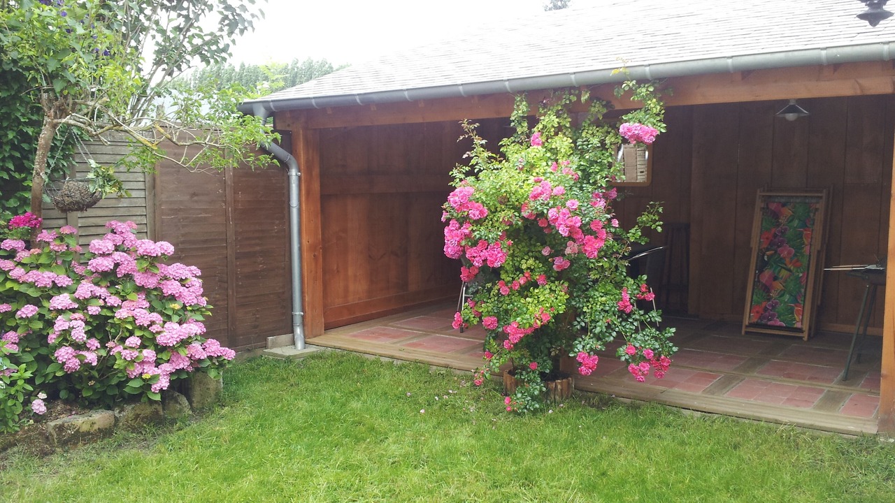 Photo of Outdoor in La Riviere-Saint-Sauveur