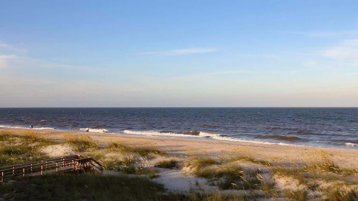 Photo of Others in Ocean Cay