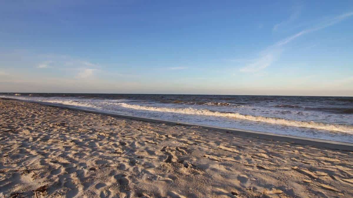 Photo of Others in Ocean Cay