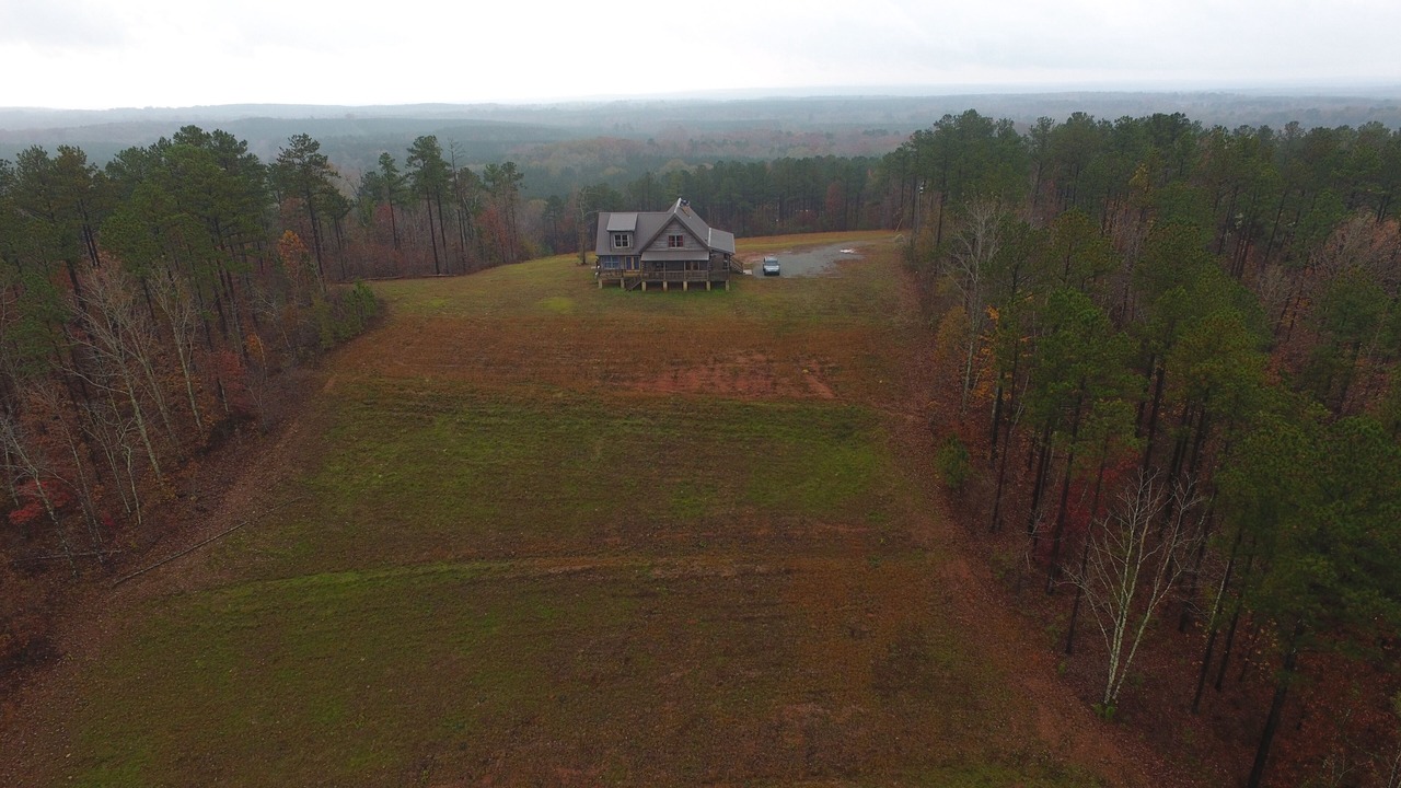 Photo of Outdoor in Woodland