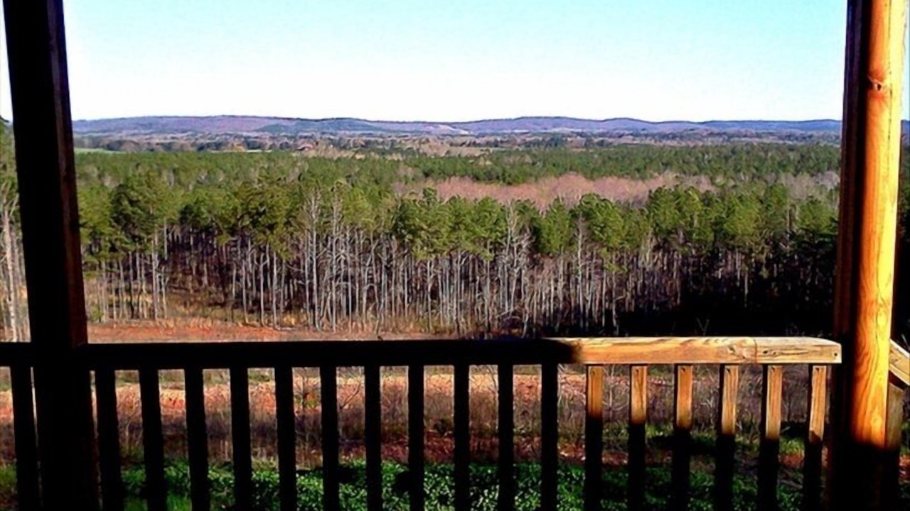 Photo of Outdoor in Woodland