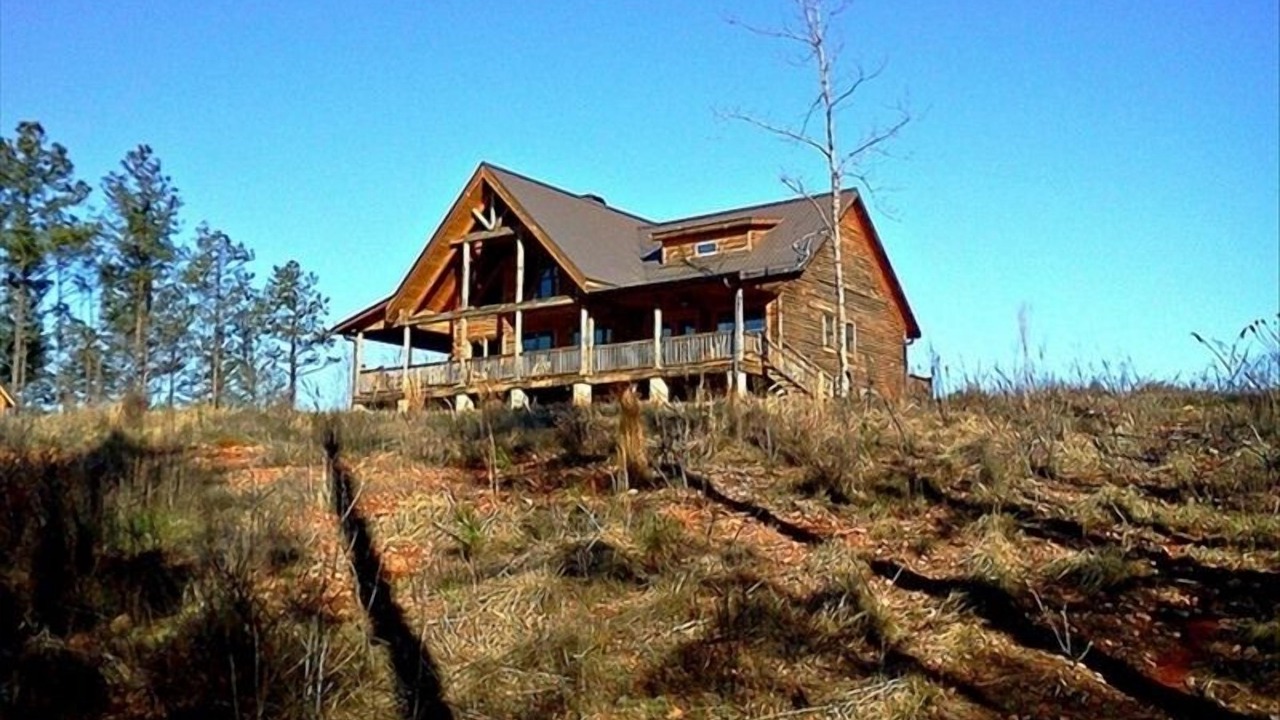 Photo of Outdoor in Woodland