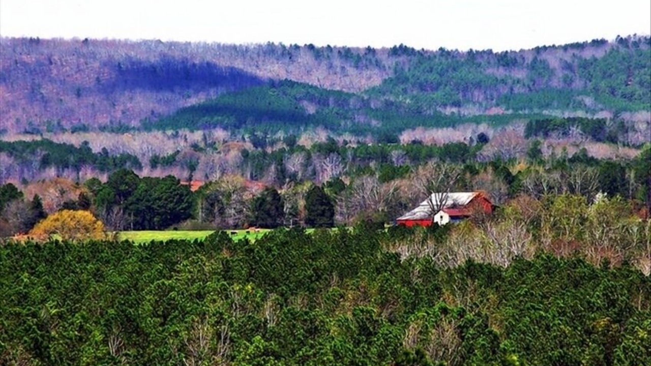 Photo of Outdoor in Woodland