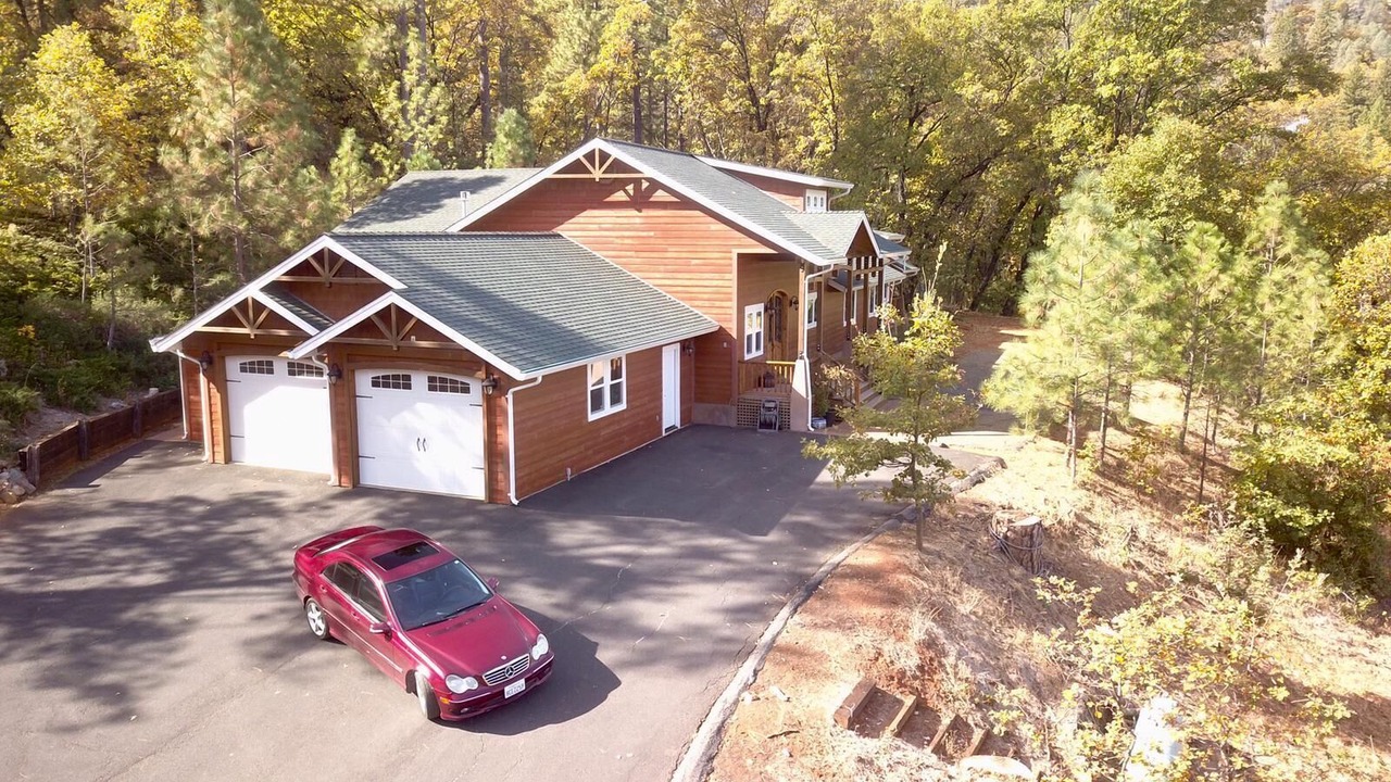 Photo of Others in Forest Meadows