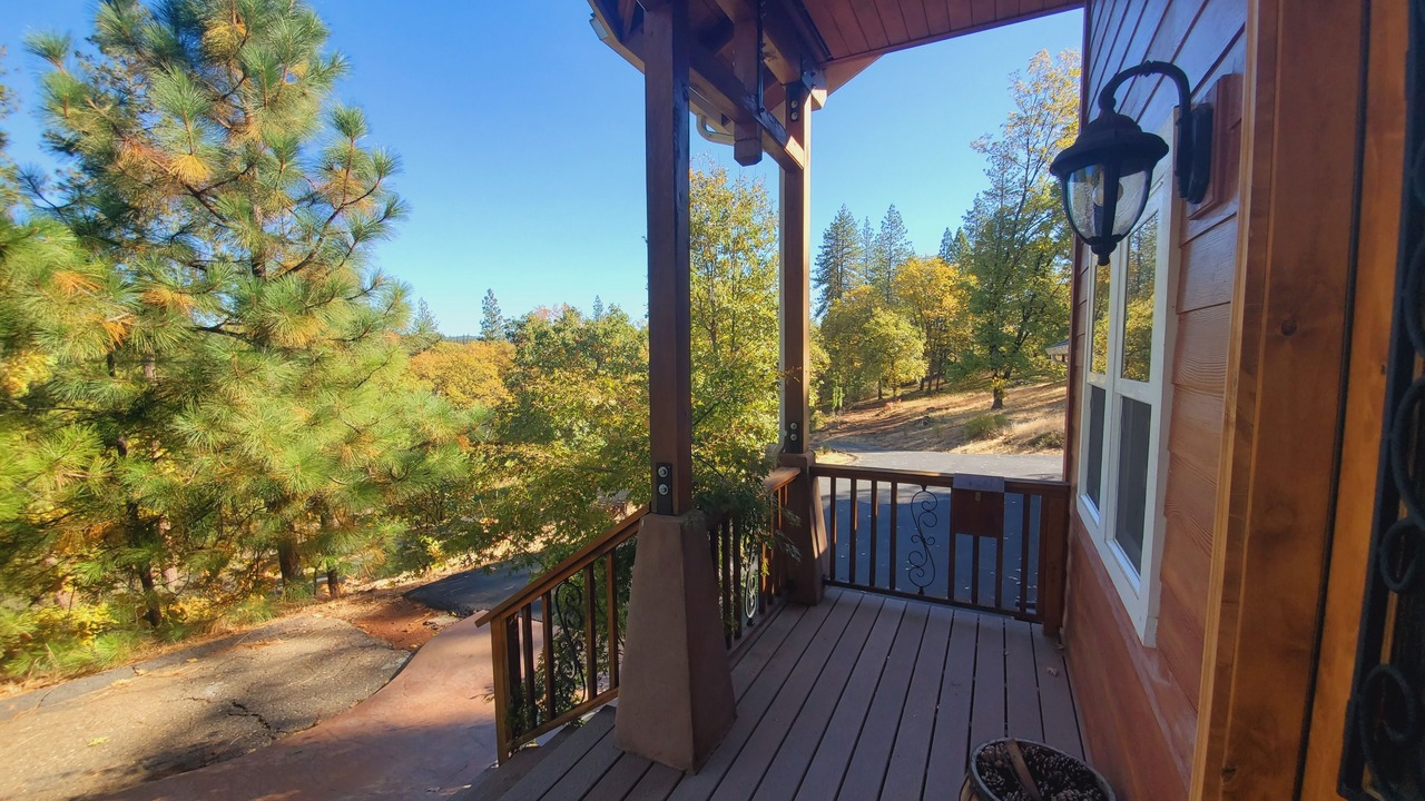 Photo of Outdoor in Forest Meadows