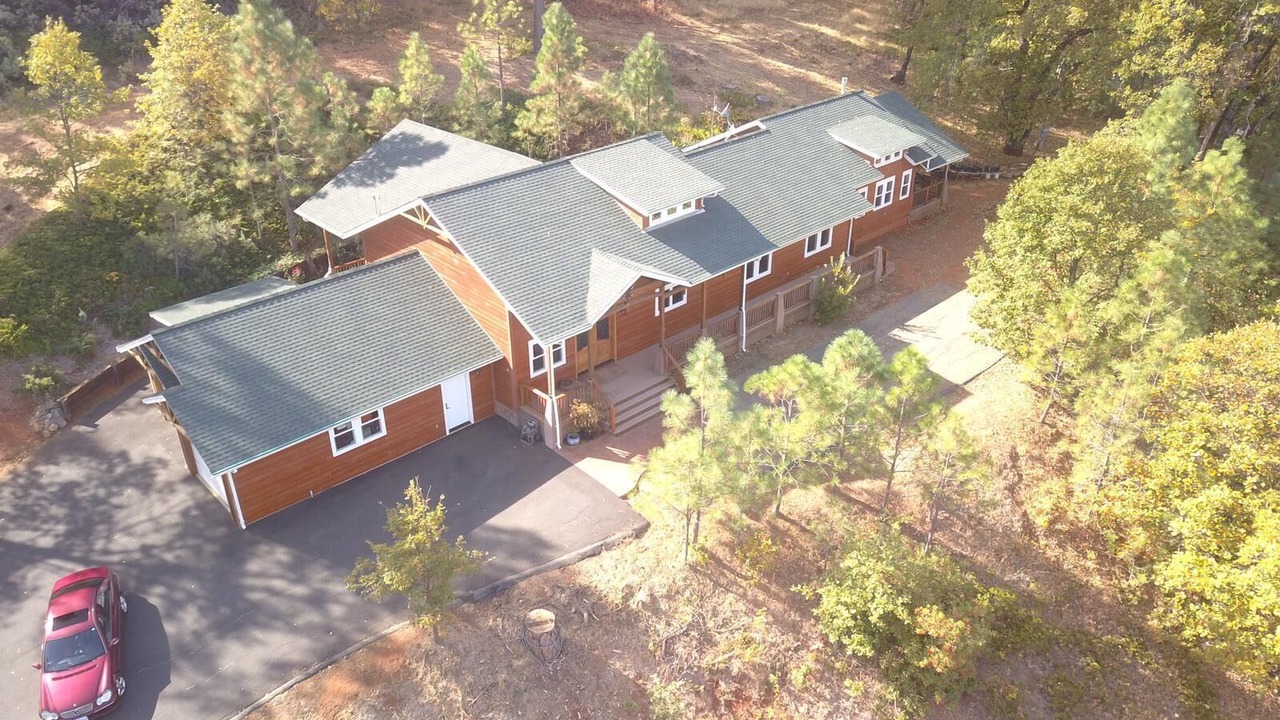 Photo of Others in Forest Meadows