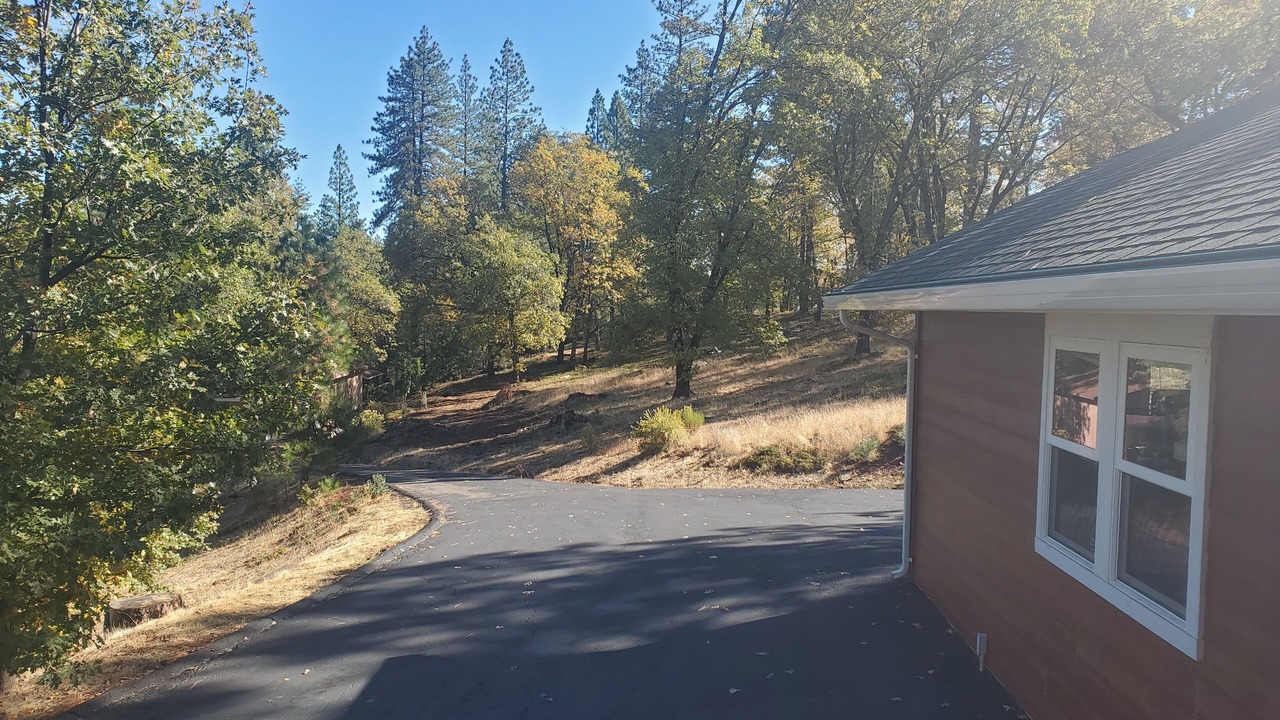 Photo of Outdoor in Forest Meadows