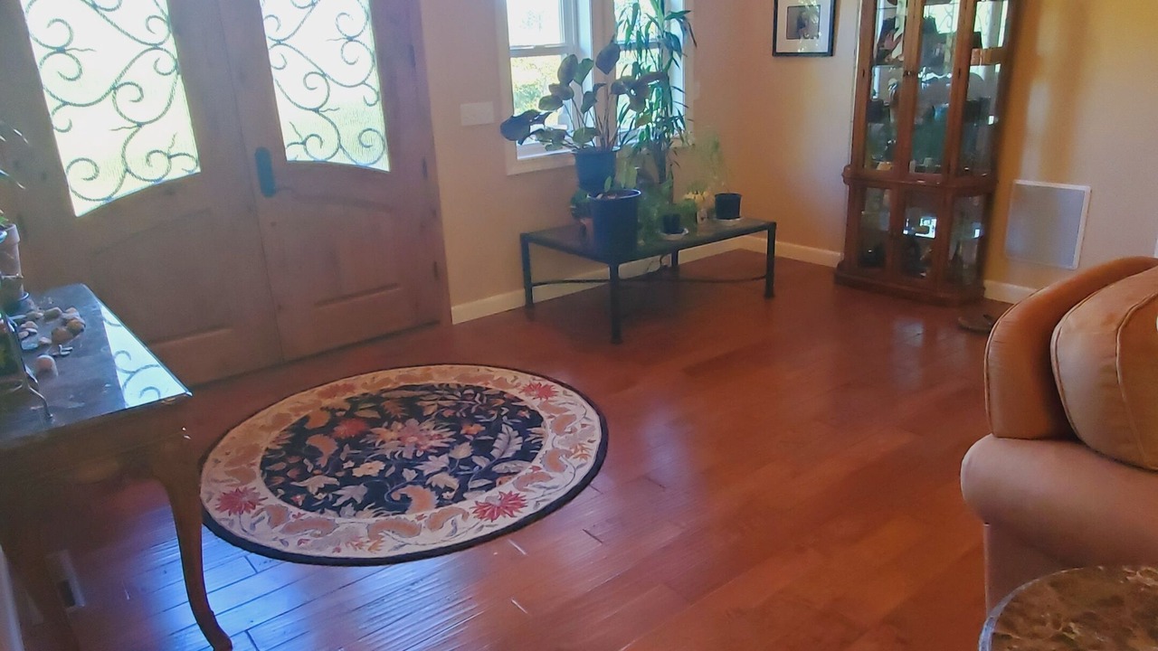 Photo of Others in Forest Meadows