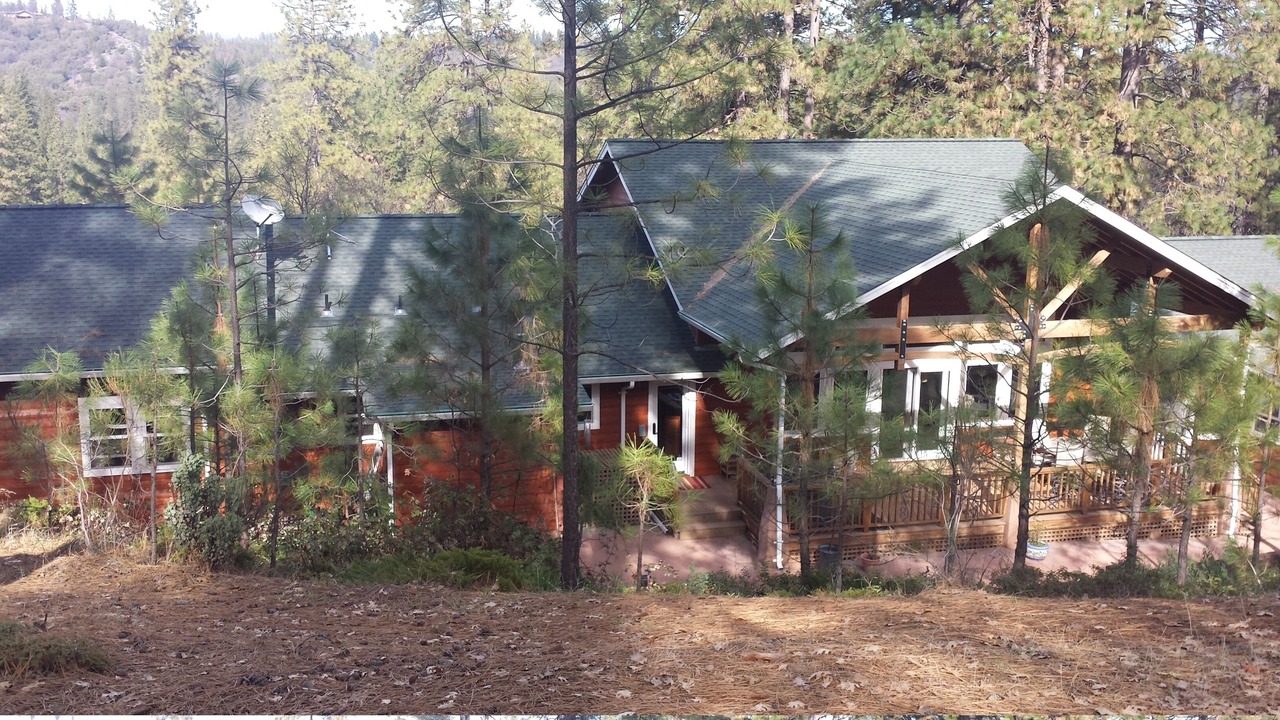 Photo of Others in Forest Meadows