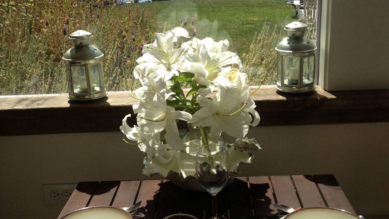 Photo of Others in Vashon Island