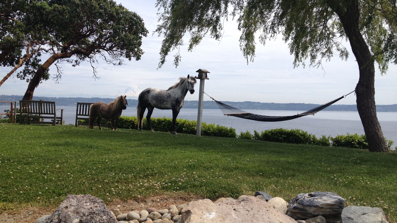 Photo of Others in Vashon Island