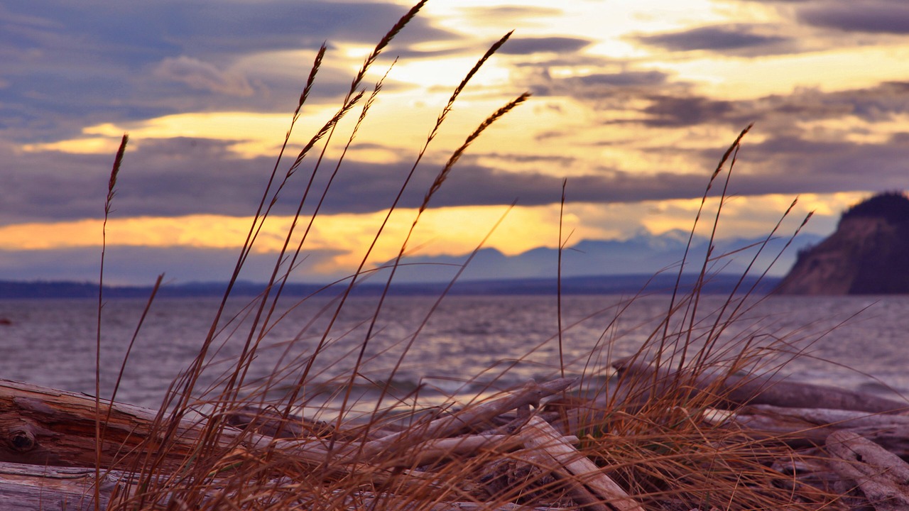 Photo of Others in Clinton