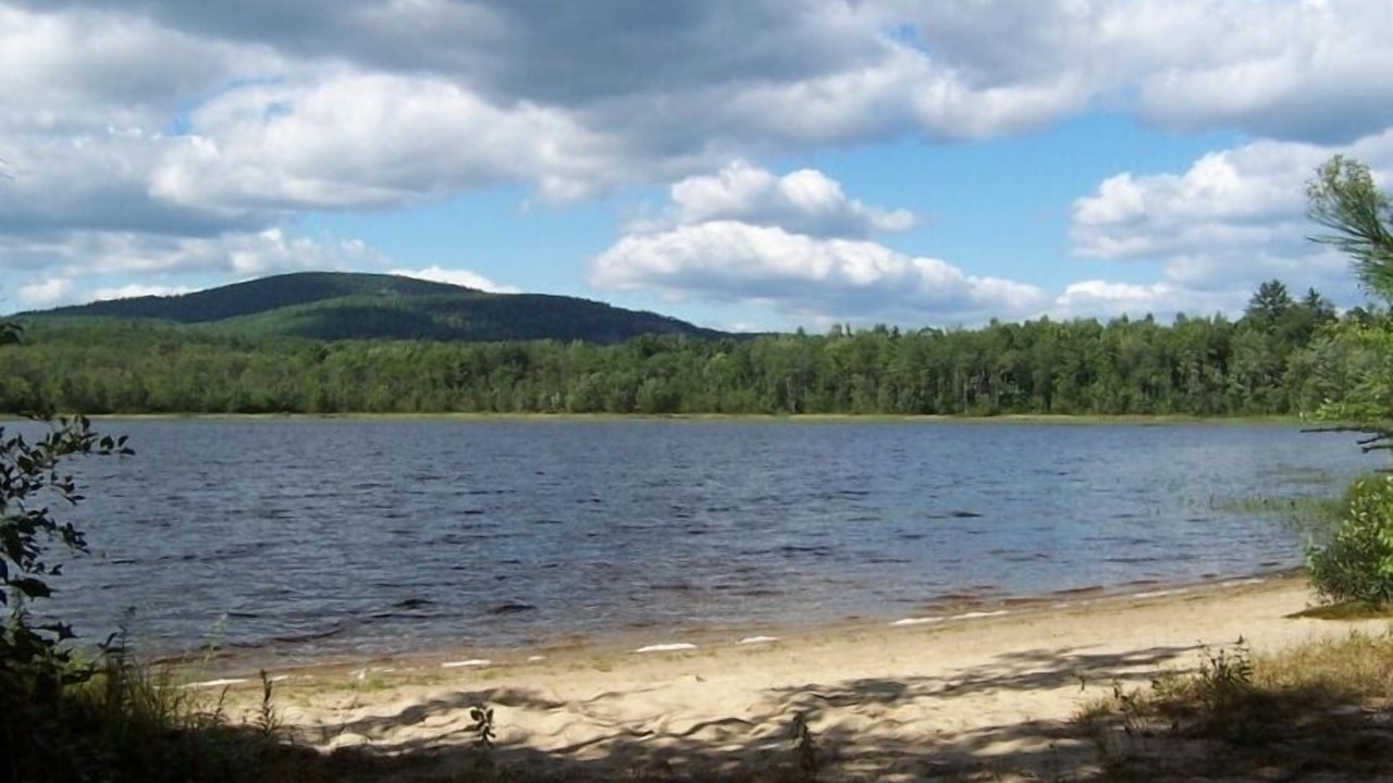 Photo of Others in Stoneham