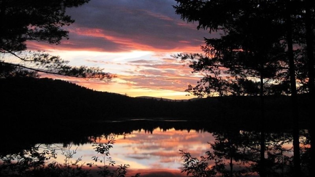 Photo of Others in Stoneham