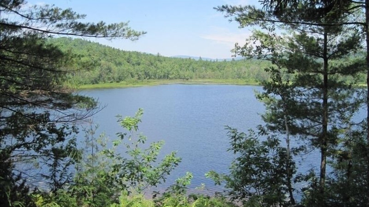 Photo of Others in Stoneham