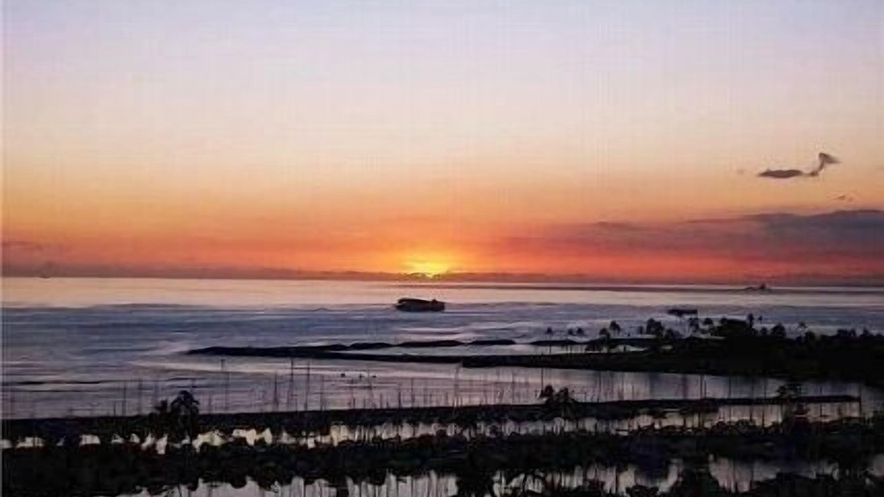 Photo of Others in Waikiki