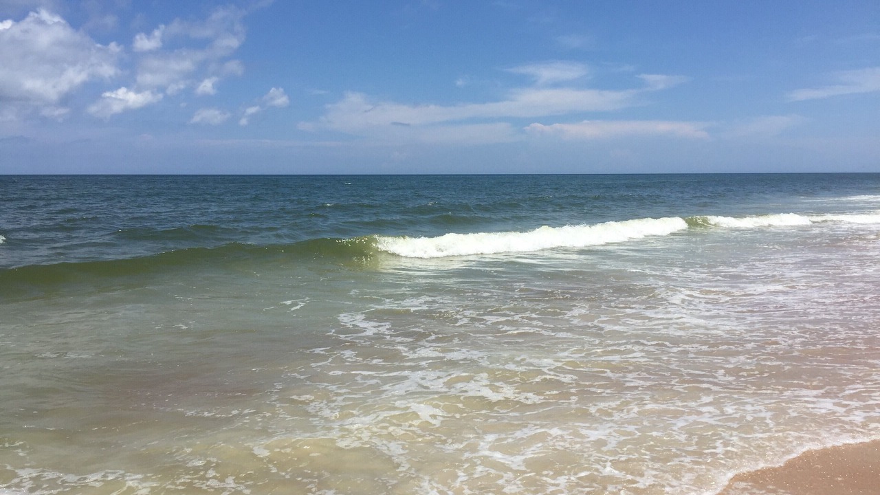 Photo of Others in Breakers