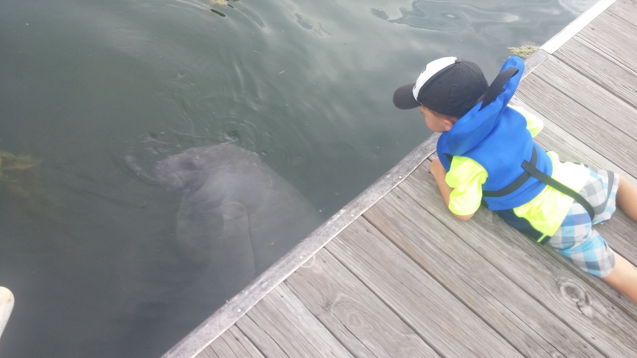 Photo of Outdoor in Crystal River