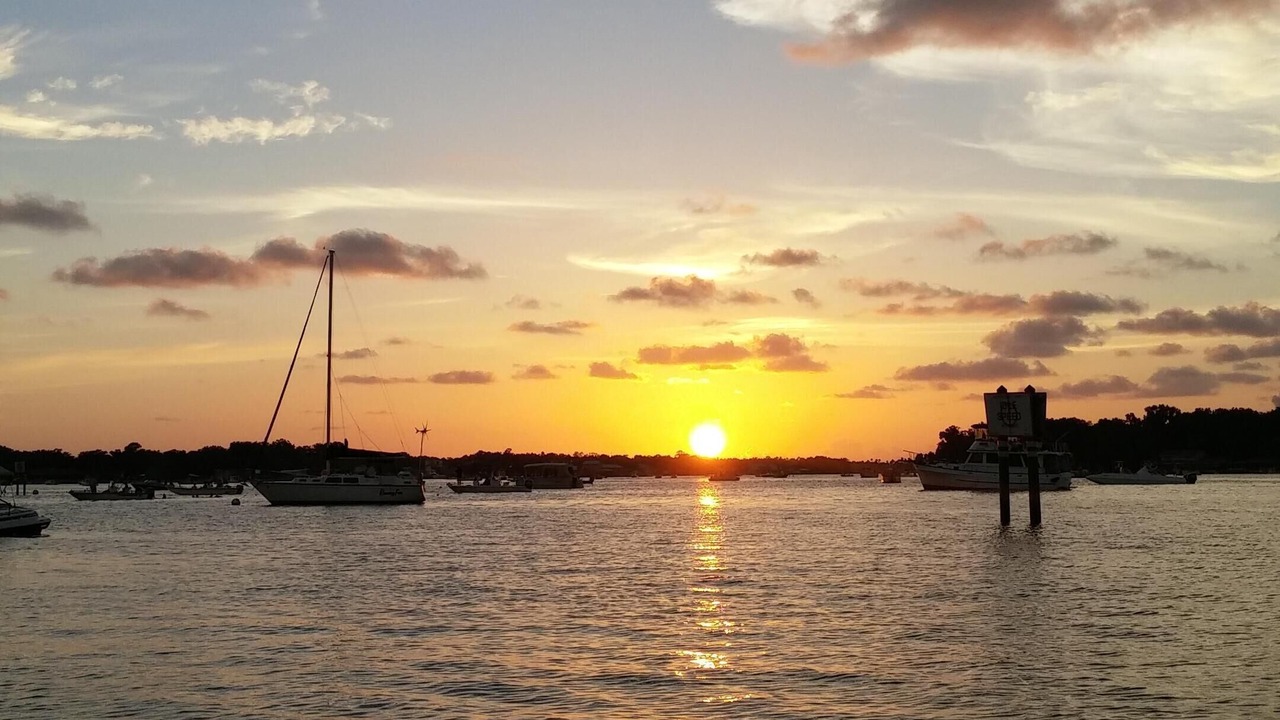 Photo of Others in Crystal River