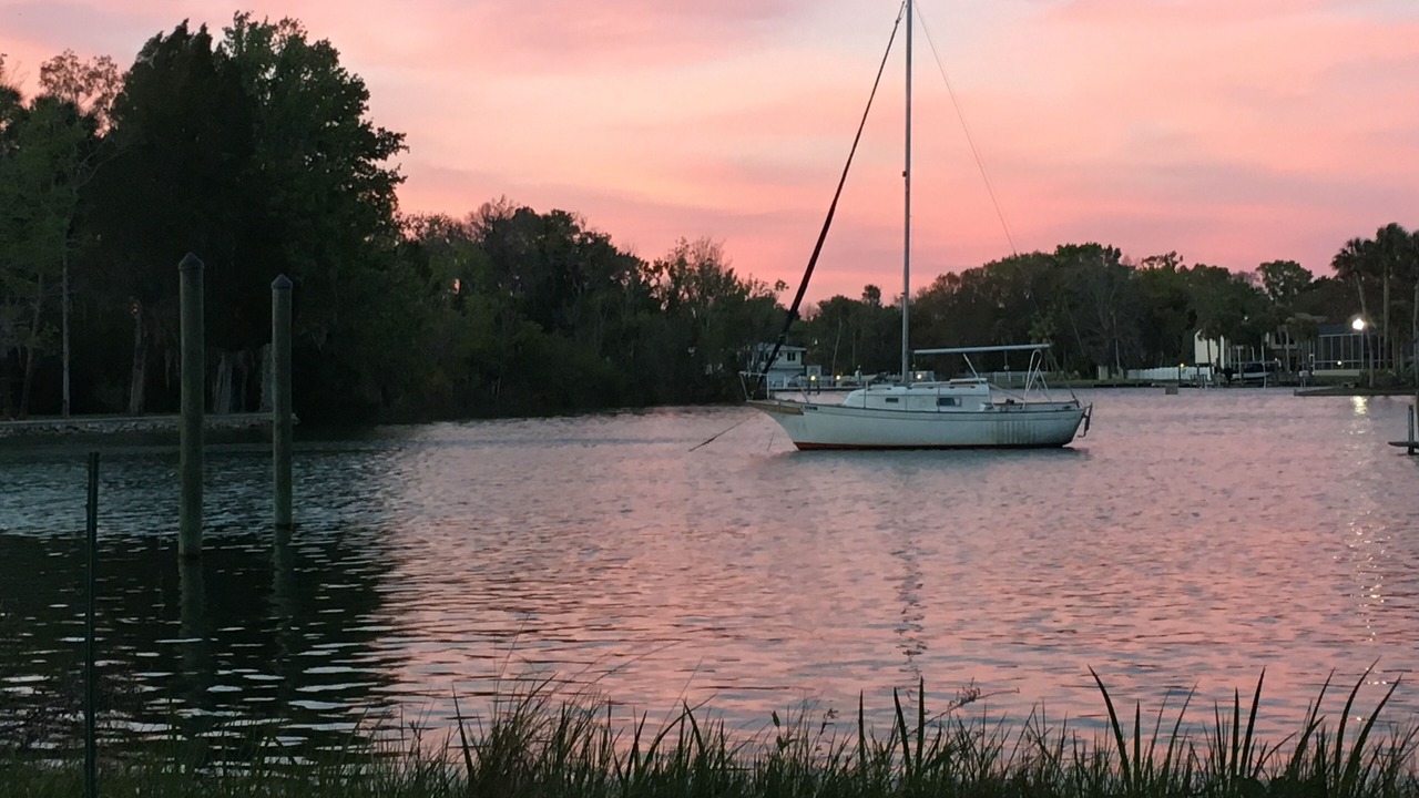 Photo of Others in Crystal River