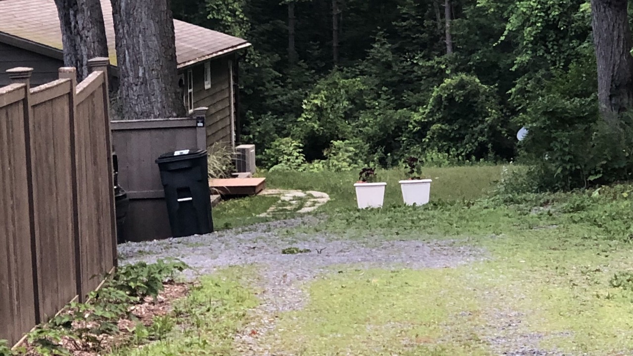 Photo of Outdoor in Trumansburg