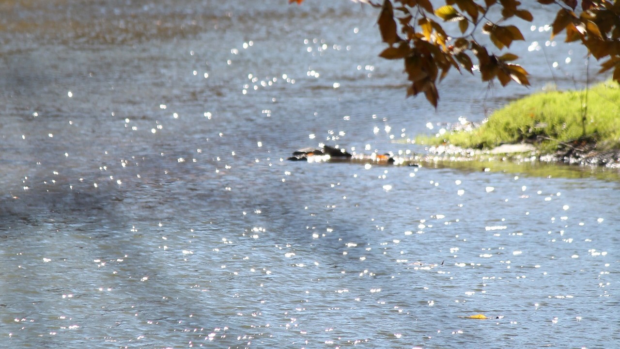 Photo of Outdoor in Trumansburg