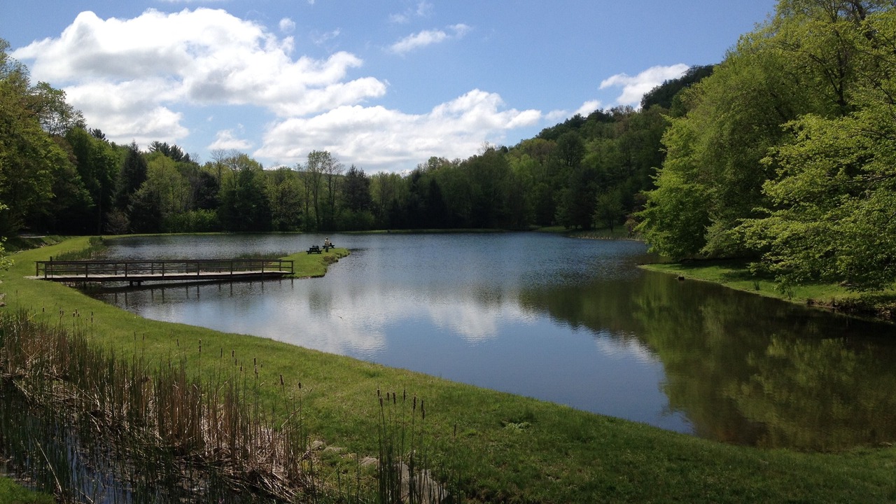 Photo of Others in Seven Springs