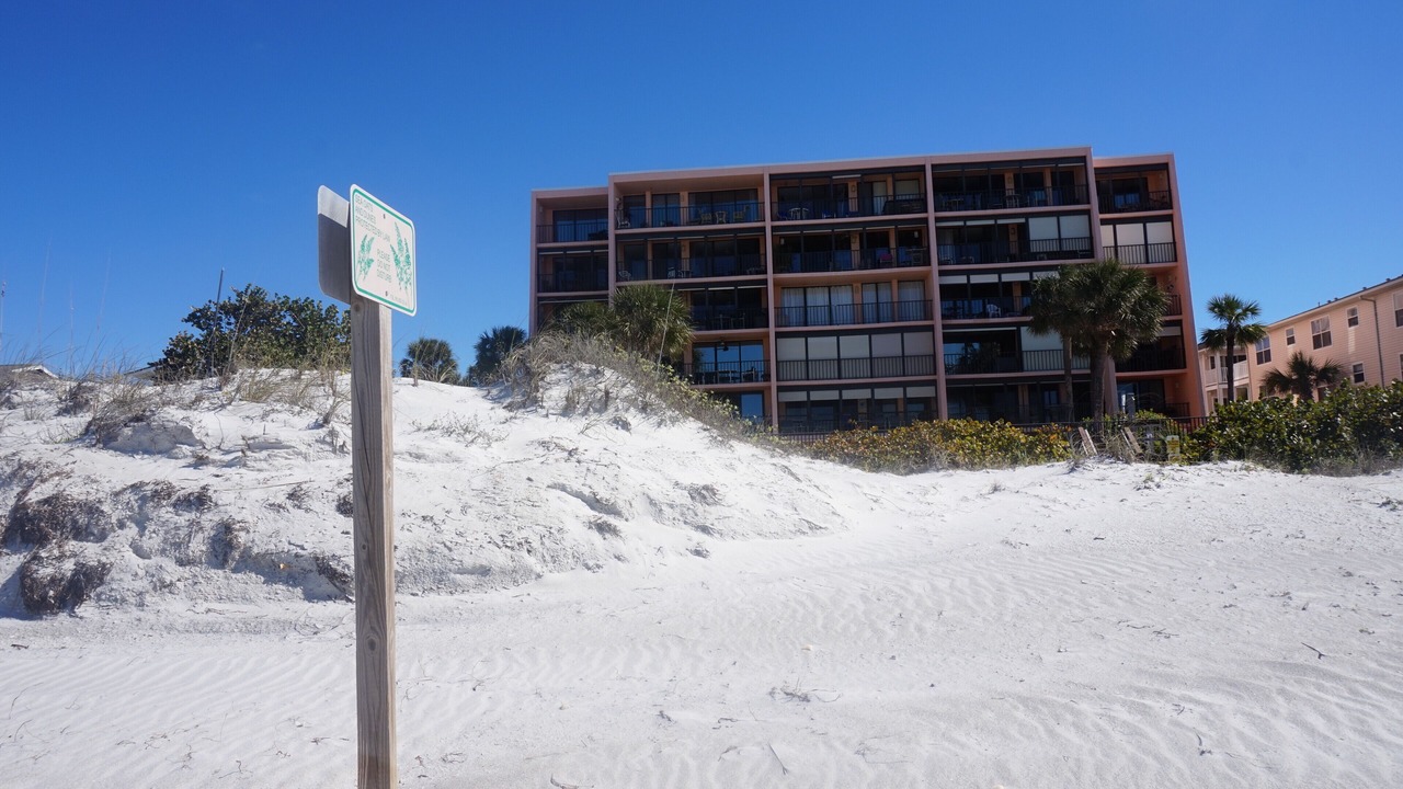 Photo of Others in Indian Rocks Beach