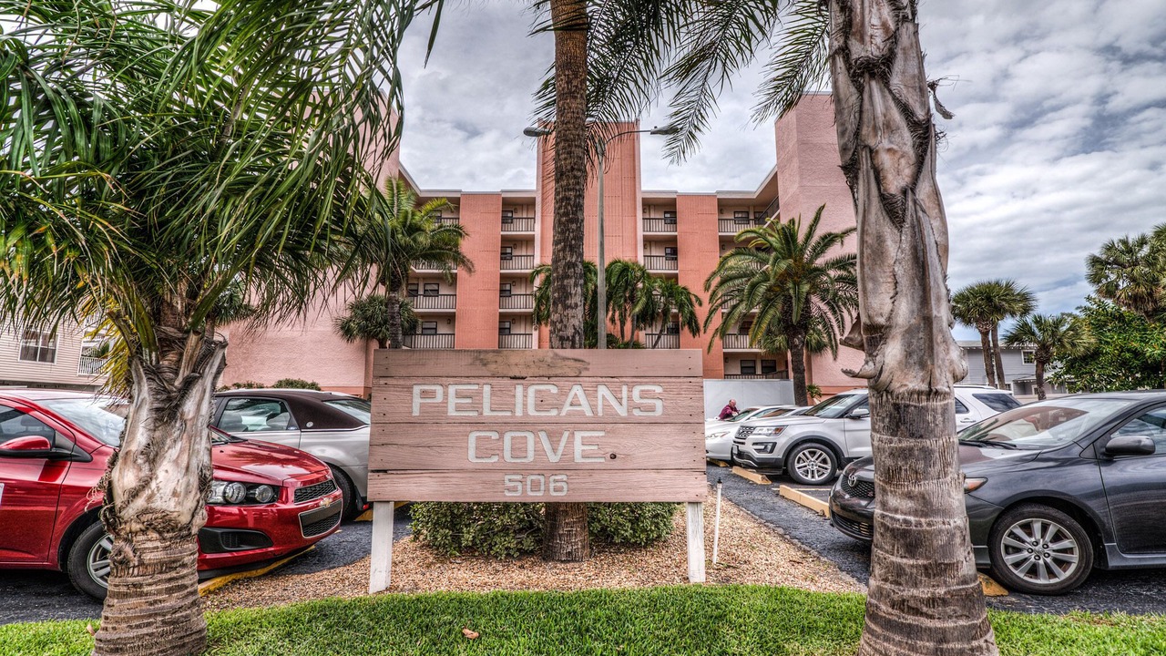 Photo of Outdoor in Indian Rocks Beach