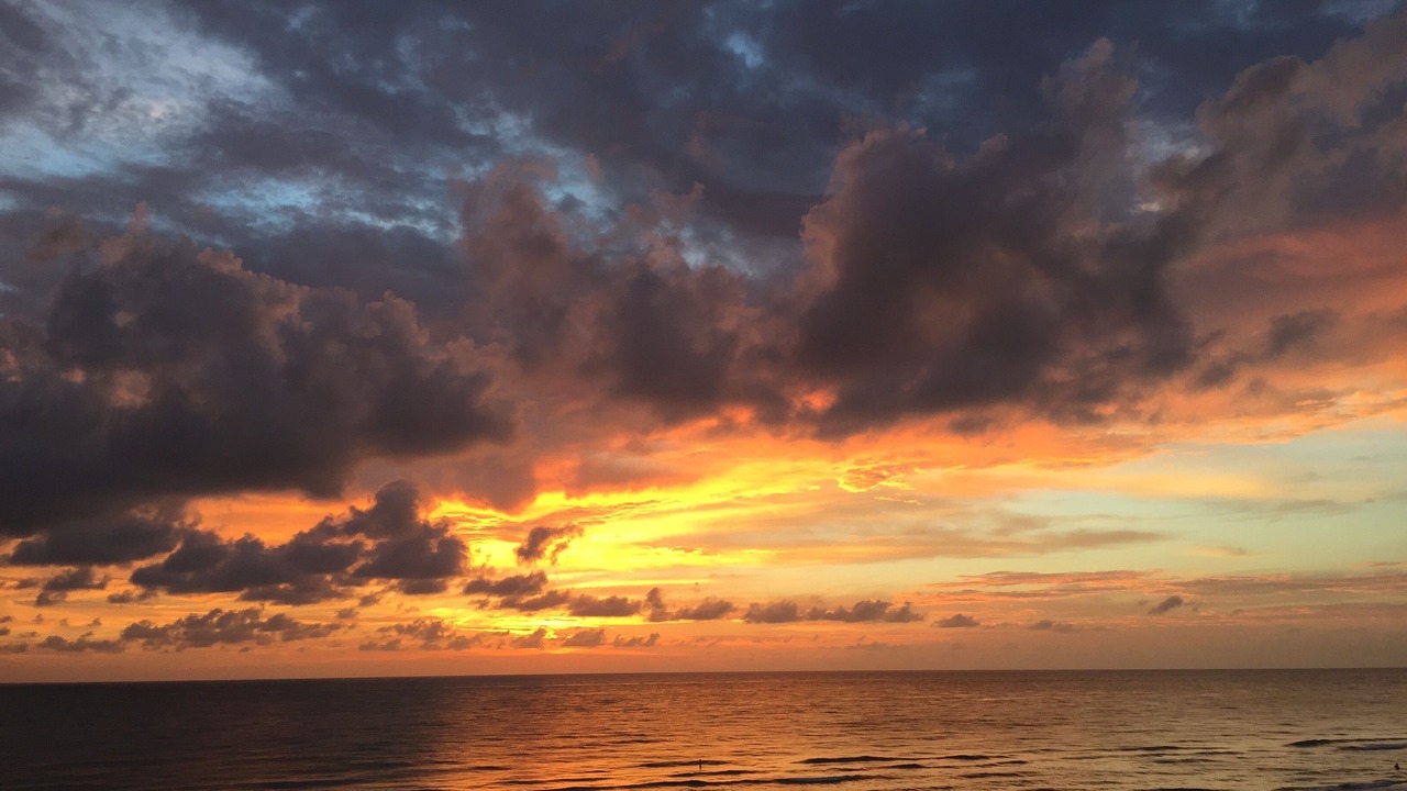 Photo of Others in Indian Rocks Beach