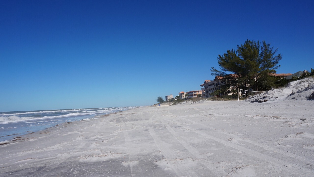 Photo of Others in Indian Rocks Beach