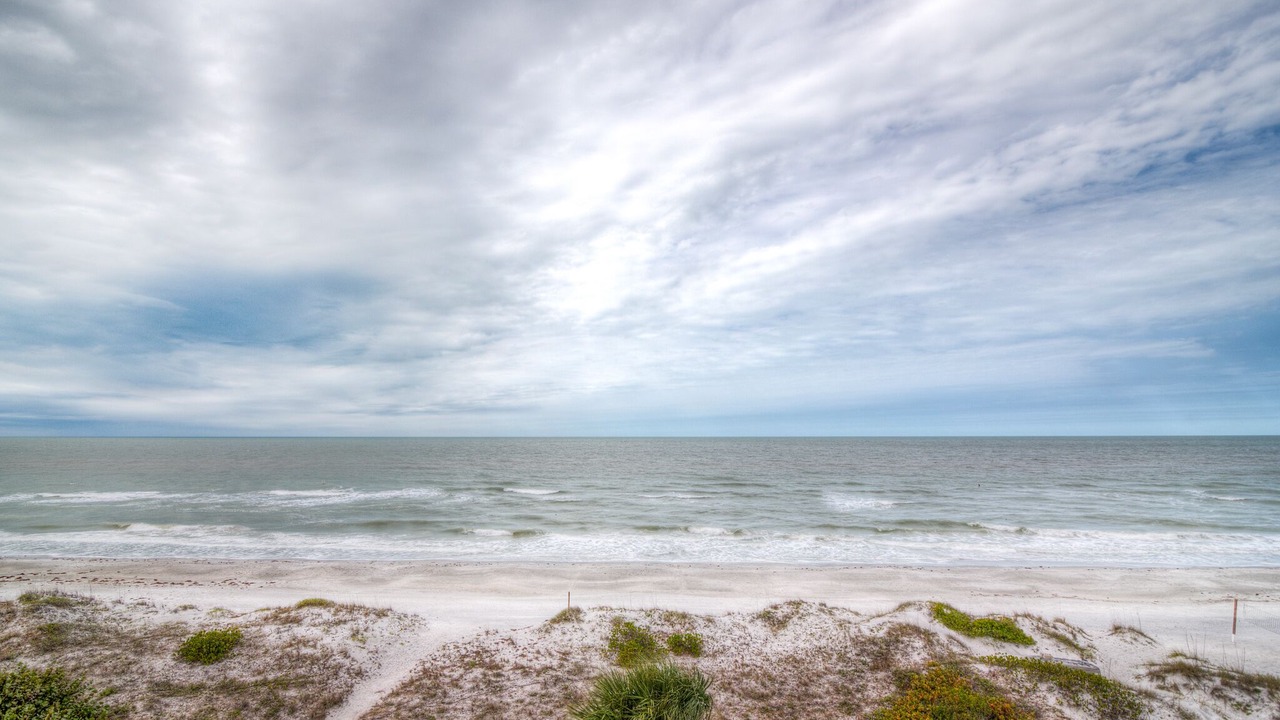 Photo of Others in Indian Rocks Beach