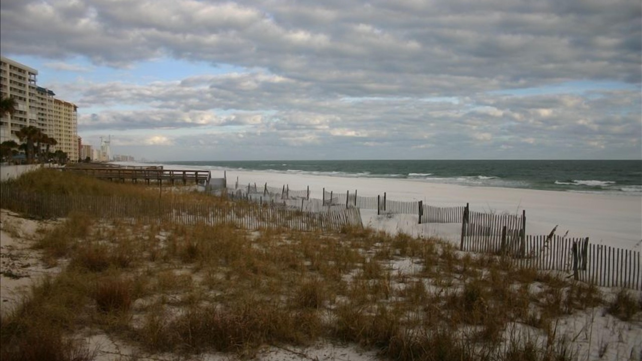Photo of Others in Orange Beach