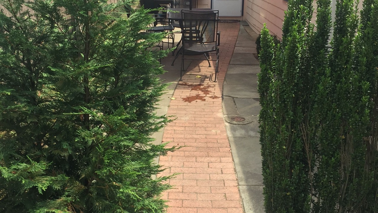 Photo of Outdoor in Ocean Grove