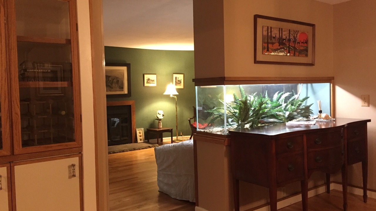 Photo of Kitchen in Kittery Point