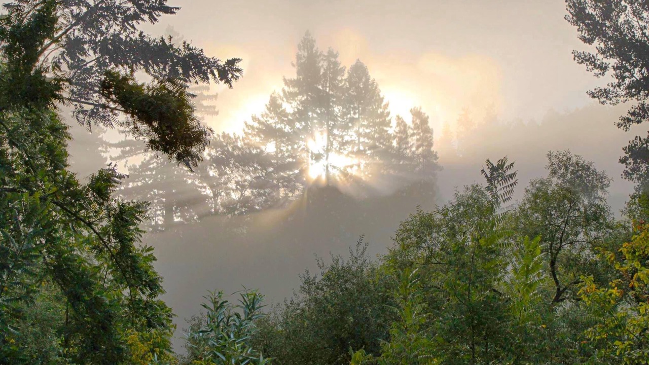 Photo of Others in Hacienda