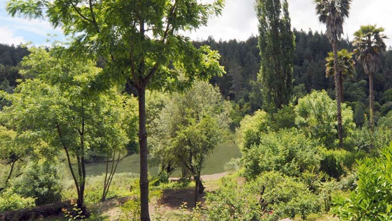 Photo of Others in Hacienda