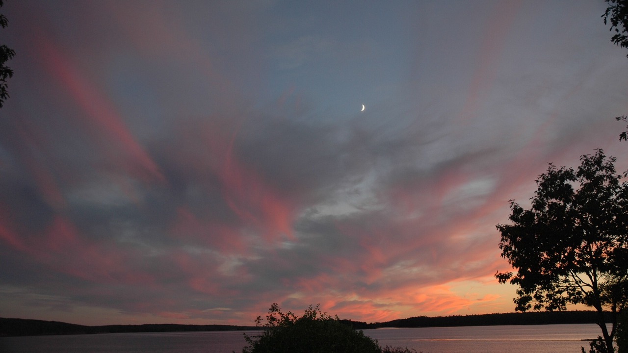 Photo of Others in Brunswick