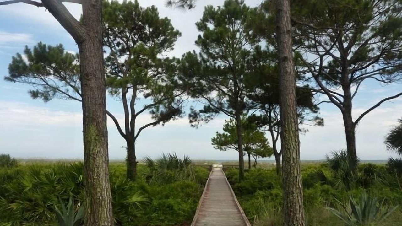 Photo of Others in Hilton Head Island