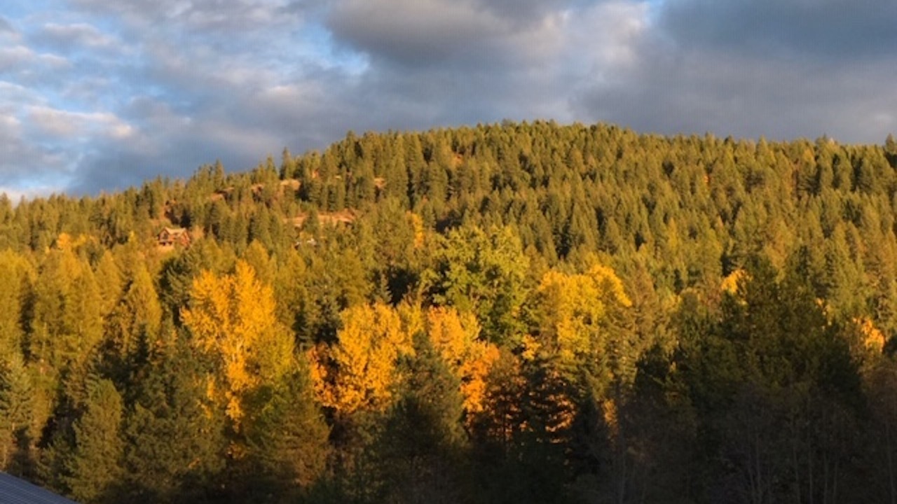 Photo of Others in Sagle