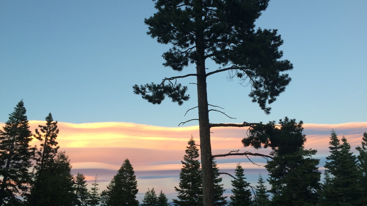 Photo of Others in Truckee