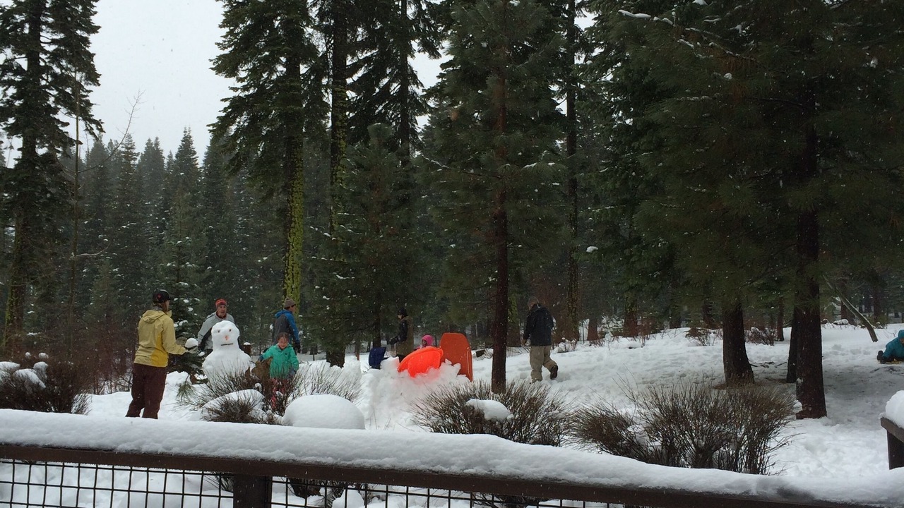 Photo of Outdoor in Truckee