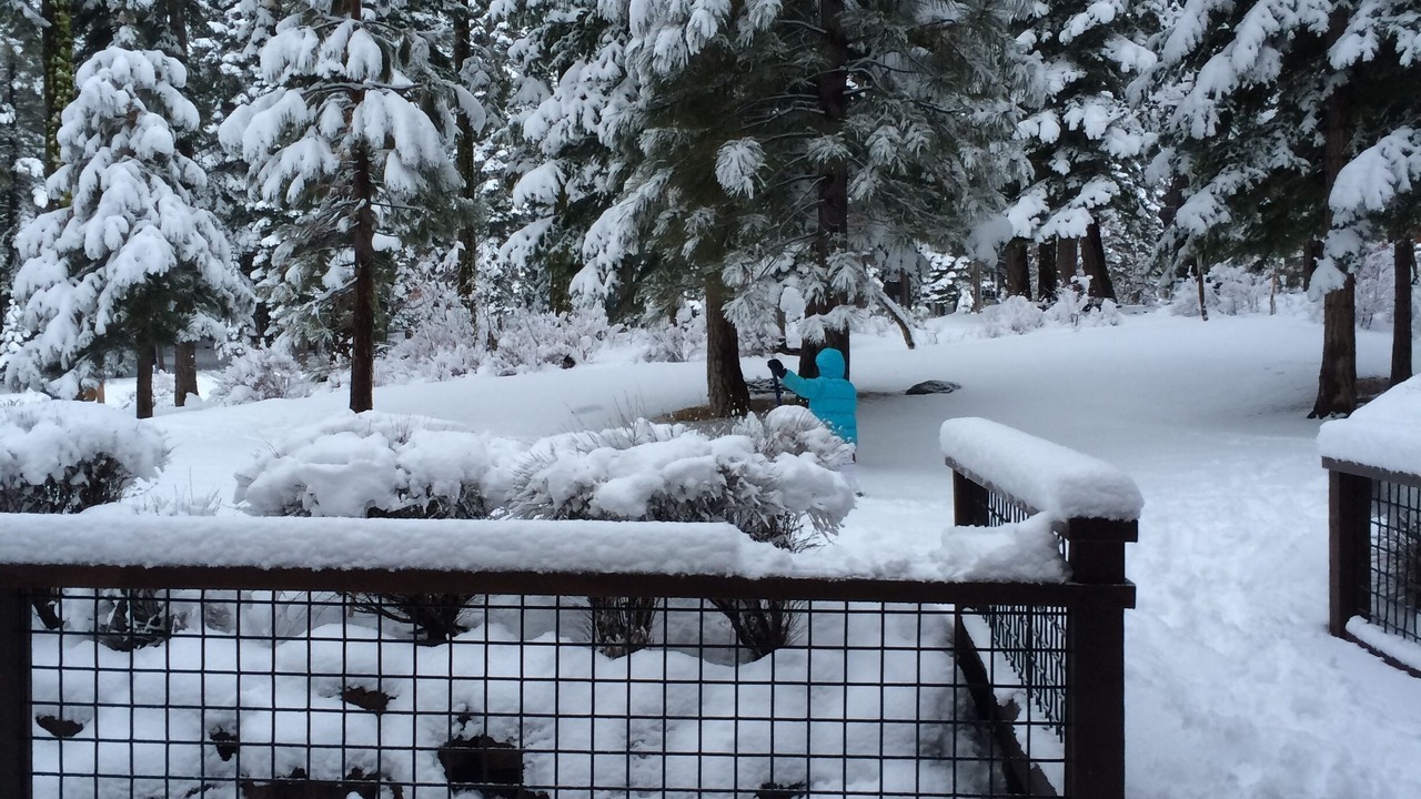 Photo of Outdoor in Truckee
