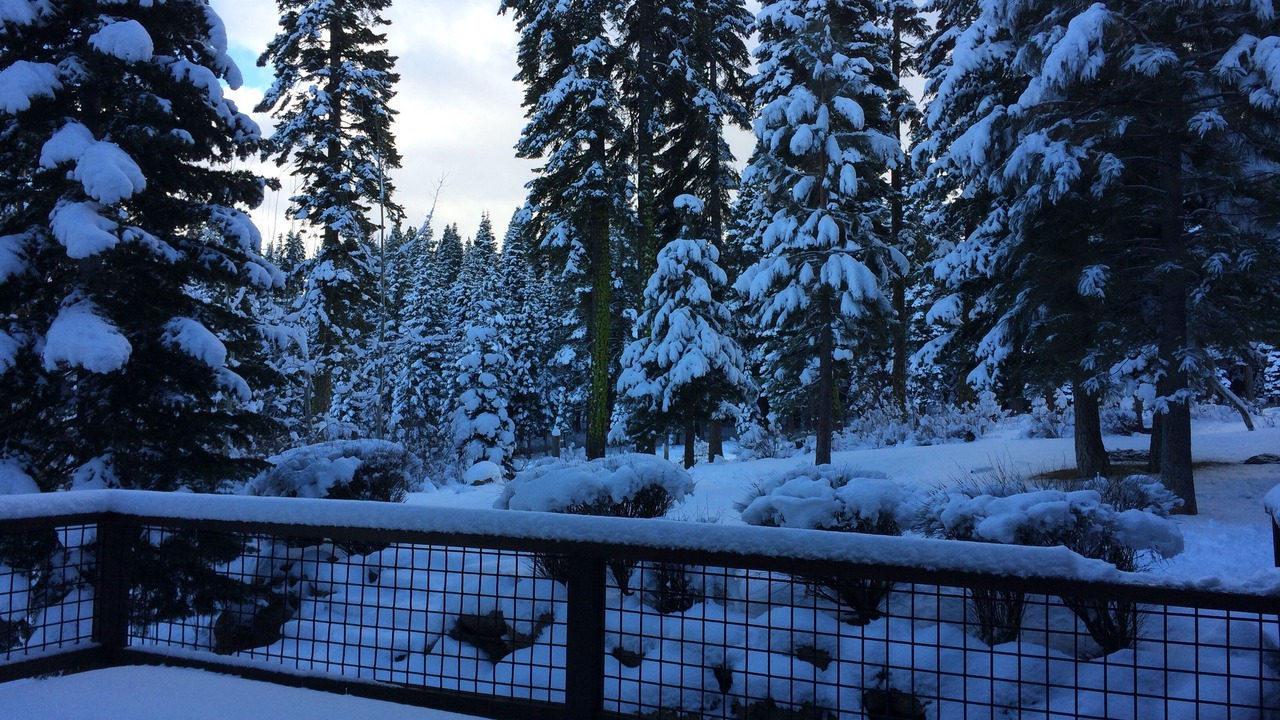 Photo of Outdoor in Truckee