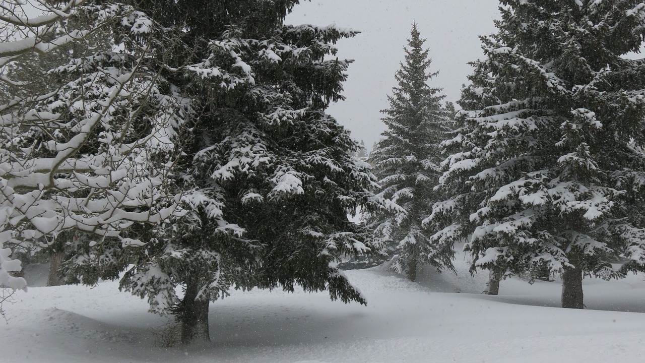 Photo of Others in Mammoth Lakes
